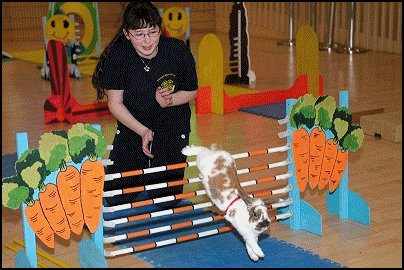 Willow at 4H on Parade 2006